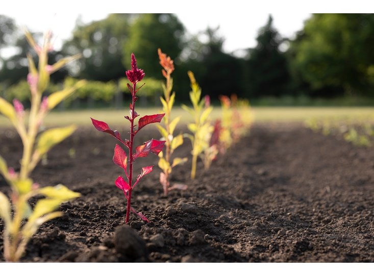 We utilize a holistic approach to ensure we do right by our owners, employees, communities, and the environment.