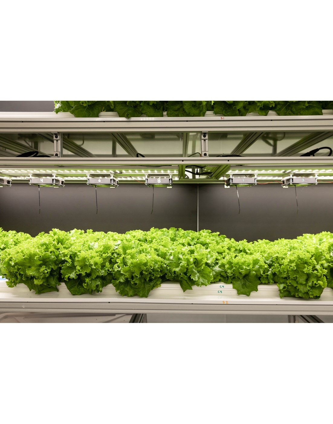 Energy efficient Sub-Zero Refrigerator Drawers keep vegetables fresh thanks to innovative product design utilizing smart innovative technology.