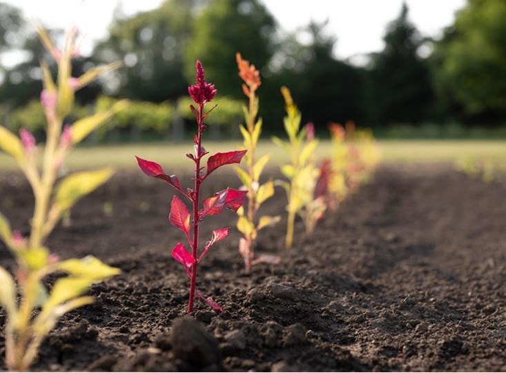 We utilize a holistic approach to ensure we do right by our owners, employees, communities, and the environment.