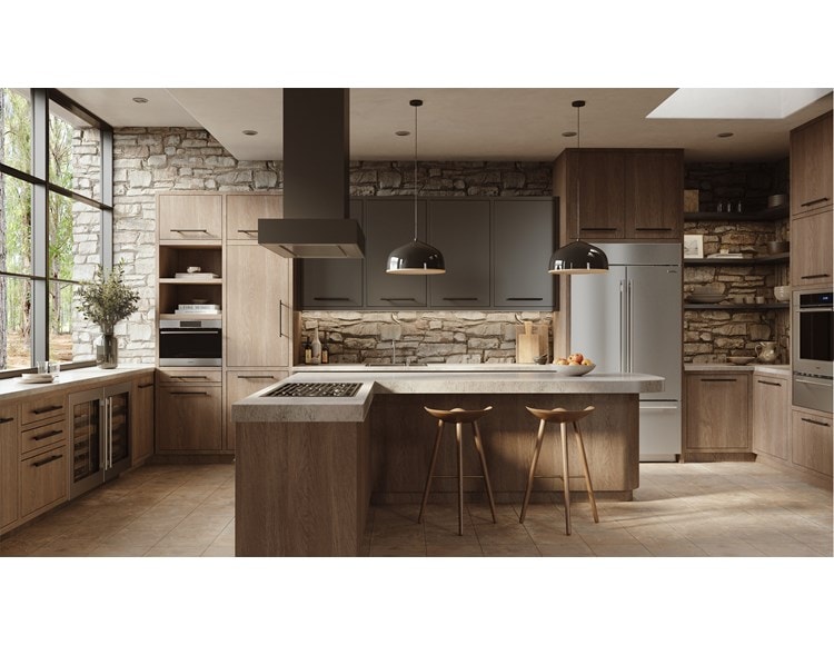 Wolf 24" E Series Transitional Drop-Down Door Microwave Oven (MDD2450TE/S/T)