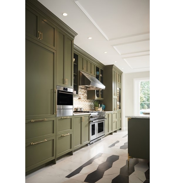 Wolf 24/" E Series Transitional Convection Steam Oven (CSO24TE/S/TH) adds exquisite color to any kitchen while serving gourmet results