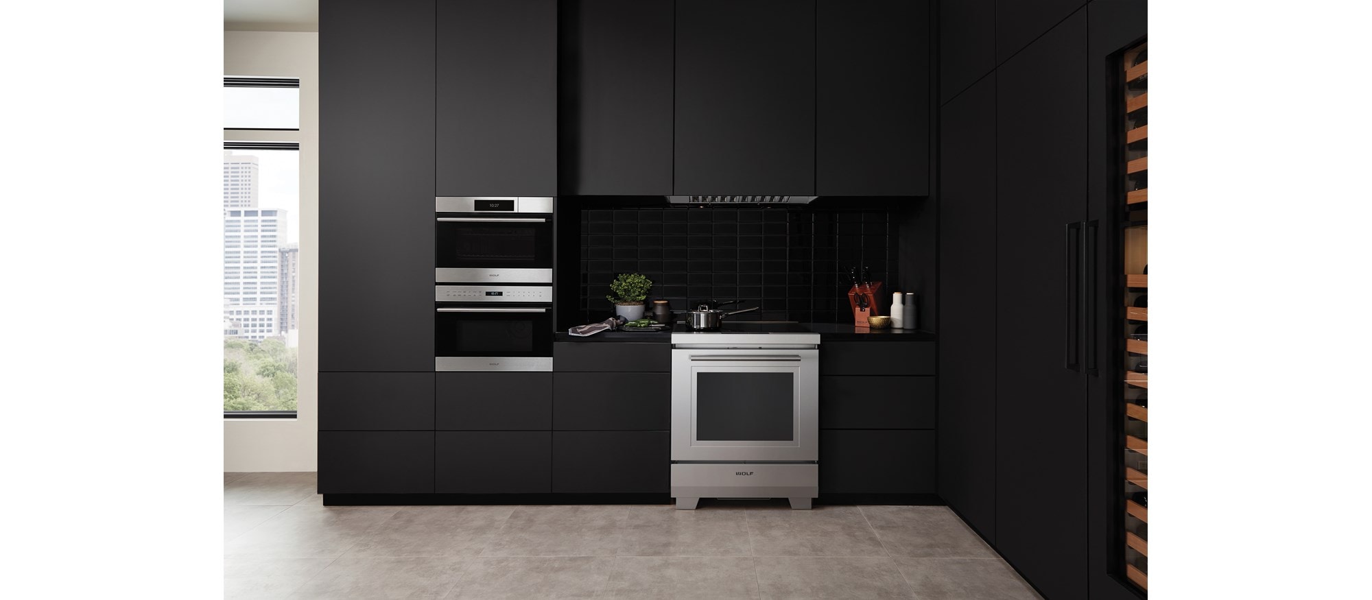 Horno de vapor con convección transicional de la serie E de 24" Wolf (CSO24TE/S/TH)