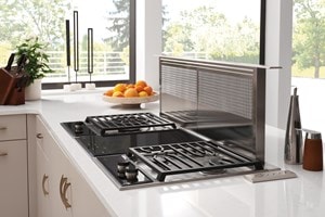 Ventilación de tiro descendente de 45” Wolf (DD45)