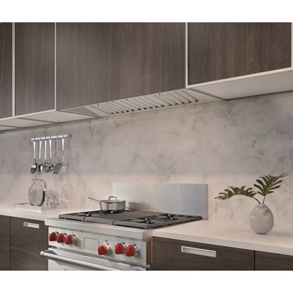 Revestimiento de campana extractora Pro de 46" Wolf - 19" de profundidad (PL461912)