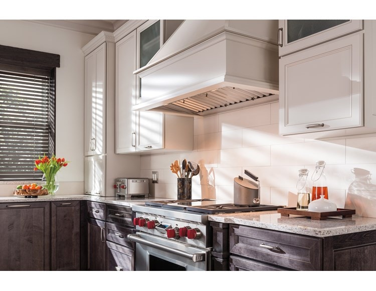 Revestimiento de campana extractora Pro de 40" Wolf - 22" de profundidad (PL402212)