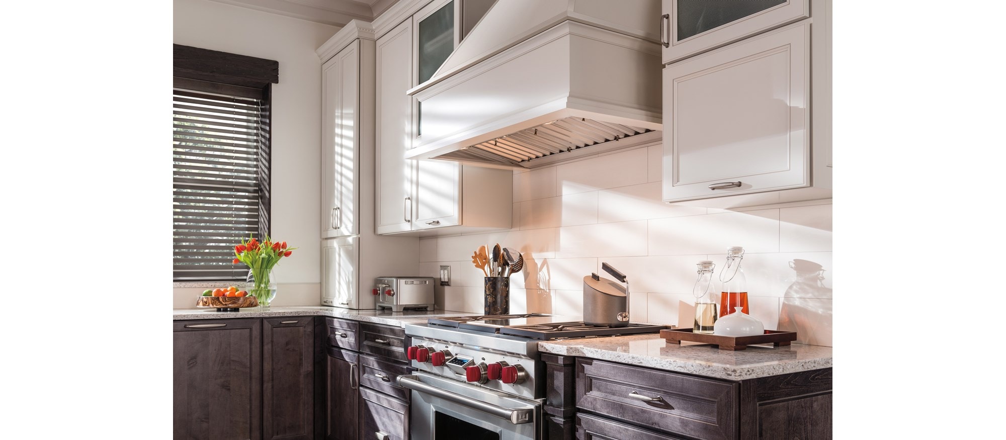 Revestimiento de campana extractora Pro de 40" Wolf - 22" de profundidad (PL402212)