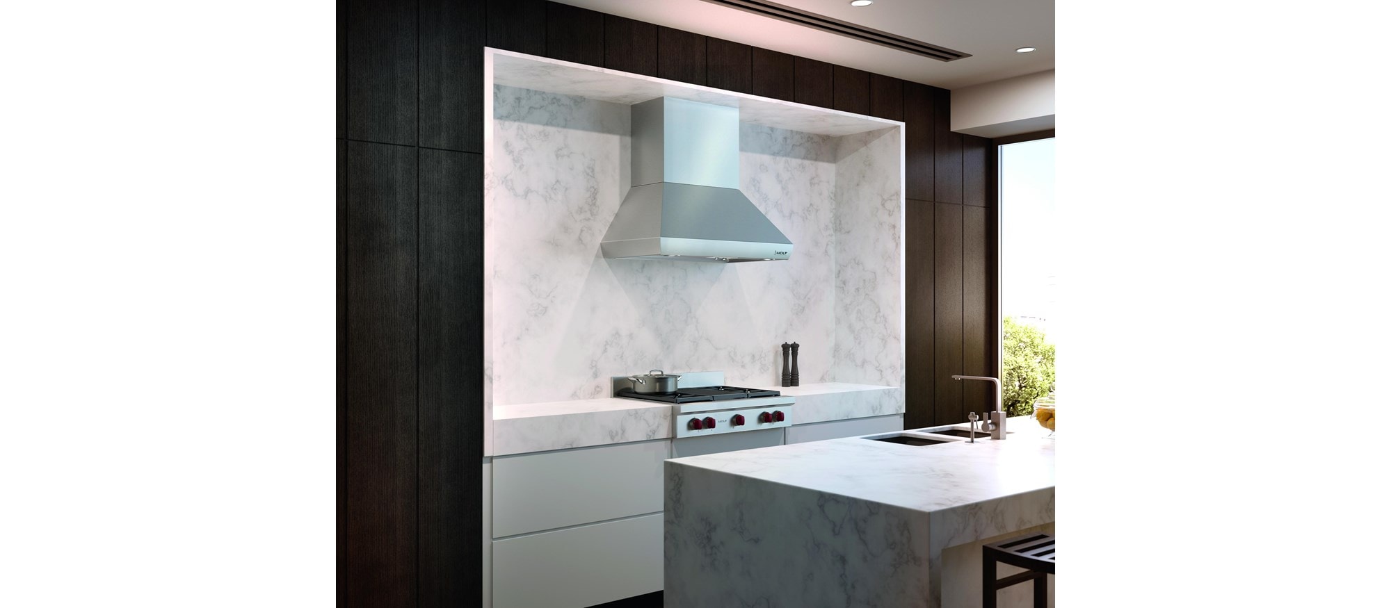 Campana de chimenea de pared Pro de 42" Wolf (PWC422418)