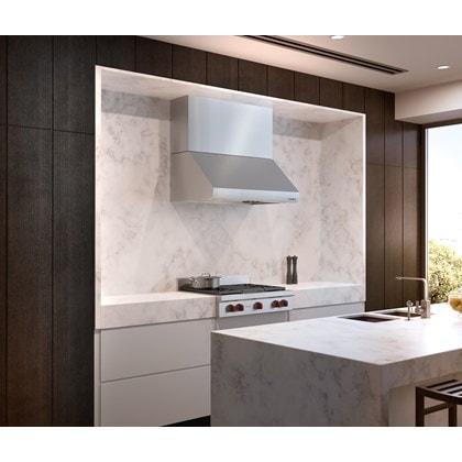 Campana extractora de pared Pro de 42" Wolf - 27" de profundidad (PW422718)