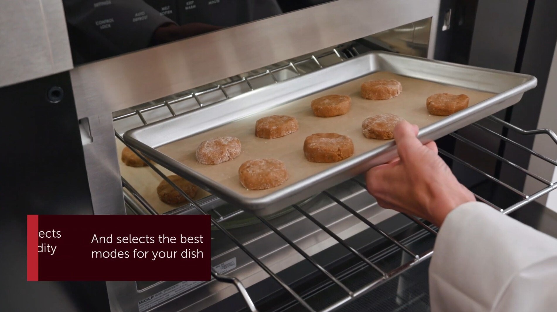 Speed oven Wolf - Modo Gourmet