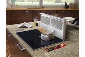 Wolf Appliances 30" Downdraft Ventilation (DD30)