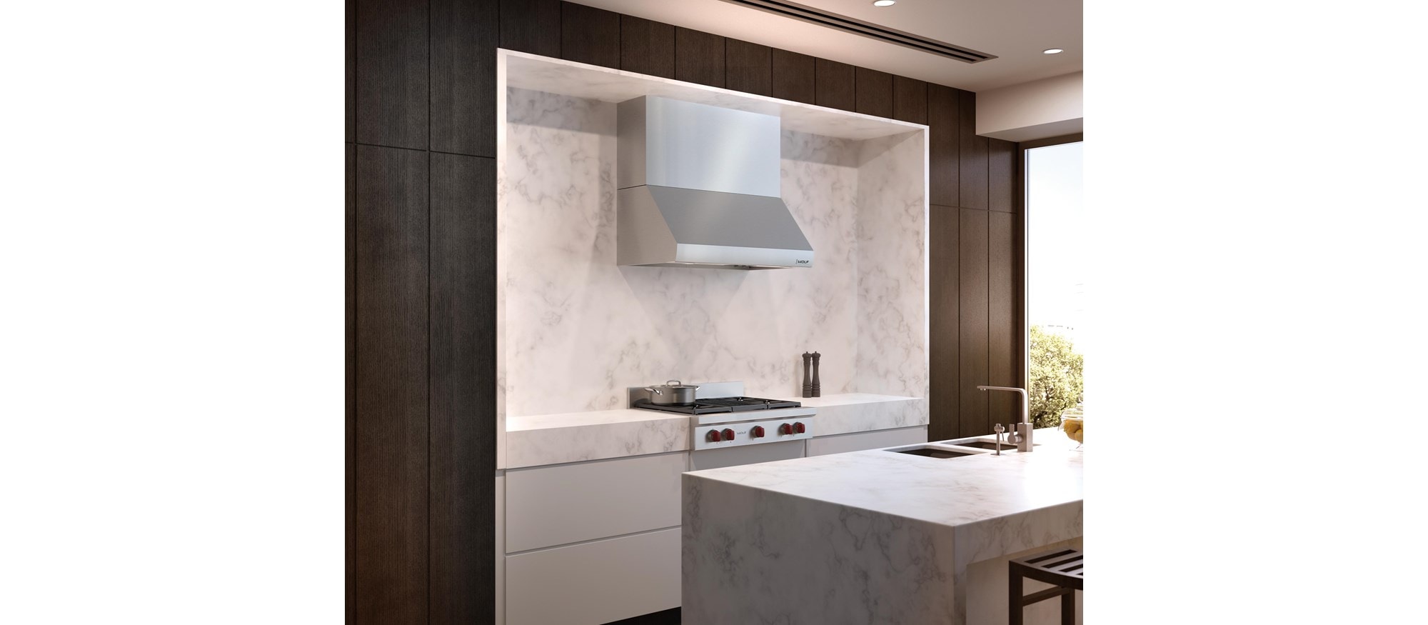 Campana extractora de pared Pro de 42" Wolf - 24" de profundidad (PW422418)