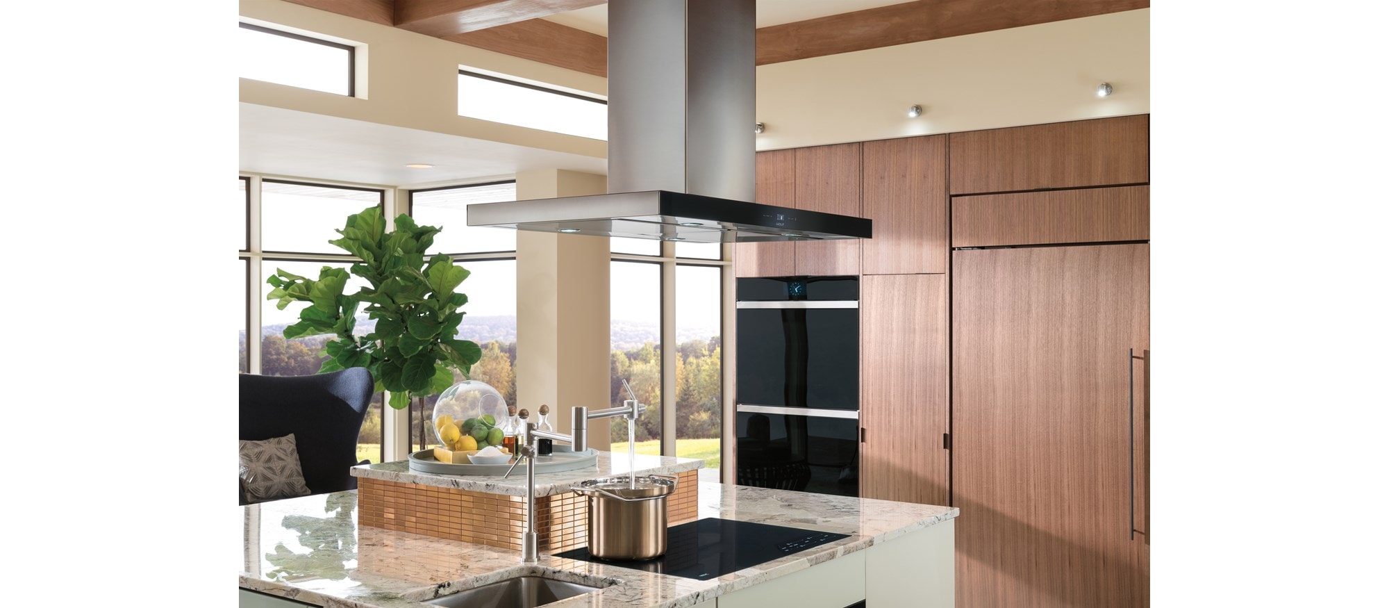 Campana extractora de placa de cocción para isla de 42" Wolf NEGRO (VI42B)